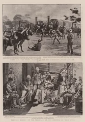 The War in South Africa